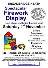 Fireworks 2014 poster